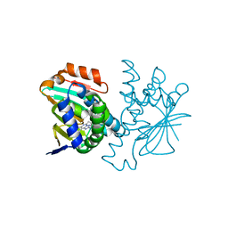 BU of 4cwf by Molmil