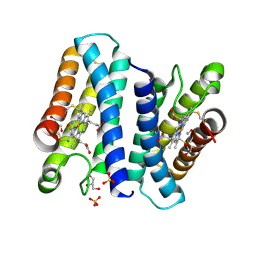 BU of 4cx9 by Molmil