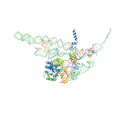 BU of 4cxg by Molmil