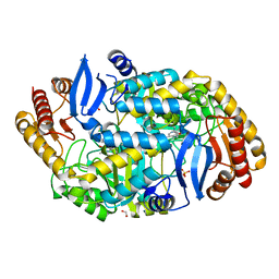 BU of 4cxr by Molmil