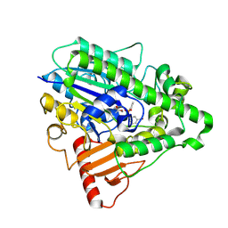 BU of 4cxu by Molmil