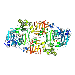 BU of 4d11 by Molmil