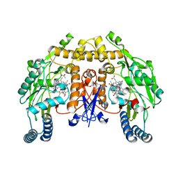 BU of 4d31 by Molmil