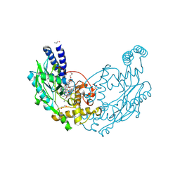 BU of 4d3v by Molmil