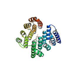 BU of 4d4z by Molmil