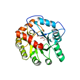 AU of 4d95 by Molmil