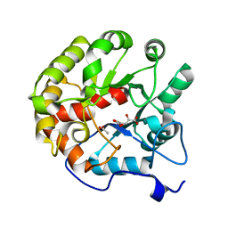 AU of 4d9a by Molmil