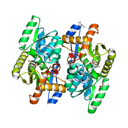 BU of 4d9b by Molmil