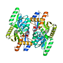 BU of 4d9c by Molmil