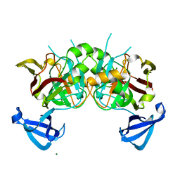 BU of 4dbf by Molmil