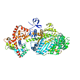 BU of 4dbp by Molmil