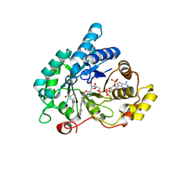 BU of 4dbs by Molmil