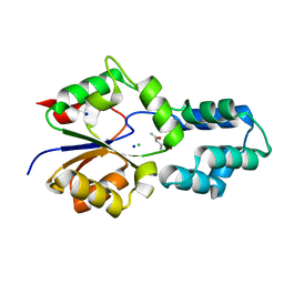 BU of 4dcc by Molmil