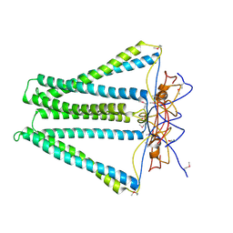 BU of 4dci by Molmil