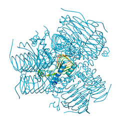 BU of 4dcl by Molmil