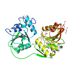 BU of 4dcm by Molmil