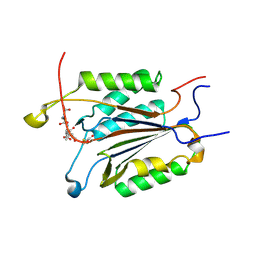 BU of 4dcp by Molmil