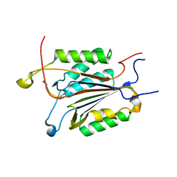 BU of 4dcp by Molmil