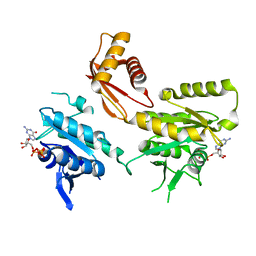 BU of 4dct by Molmil