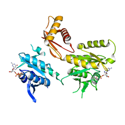 BU of 4dcu by Molmil