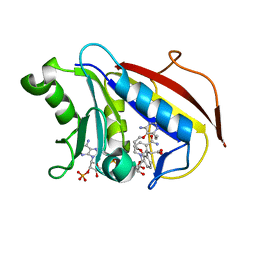 BU of 4ddr by Molmil