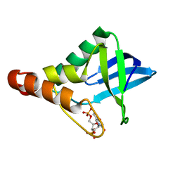 BU of 4dfa by Molmil