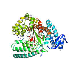 BU of 4dfm by Molmil