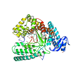 BU of 4dfp by Molmil