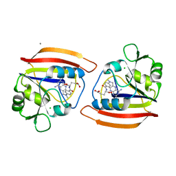 BU of 4dfr by Molmil