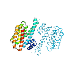 BU of 4dhr by Molmil