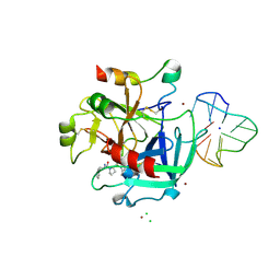 BU of 4dih by Molmil