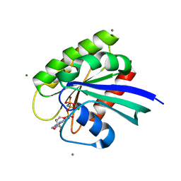 BU of 4dls by Molmil