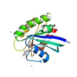 BU of 4dlv by Molmil