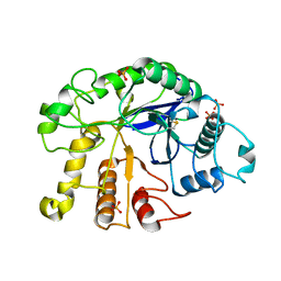 BU of 4dm1 by Molmil