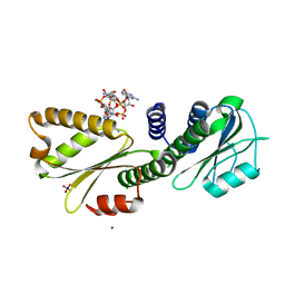 BU of 4dn0 by Molmil