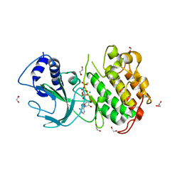 BU of 4dn5 by Molmil