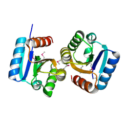 BU of 4dn6 by Molmil