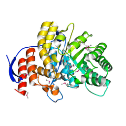 BU of 4dnh by Molmil