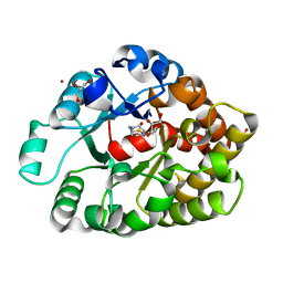 BU of 4dnm by Molmil