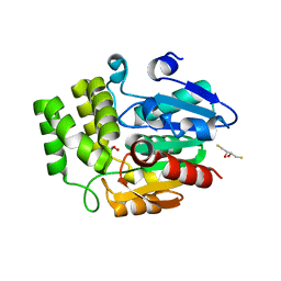 BU of 4dnp by Molmil