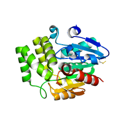 BU of 4dnq by Molmil