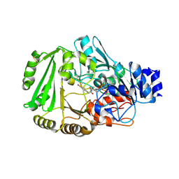 BU of 4dns by Molmil