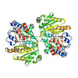 AU of 4dns by Molmil