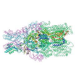 BU of 4dnt by Molmil