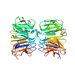 BU of 4dnv by Molmil