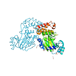 BU of 4do0 by Molmil