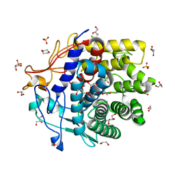 BU of 4dod by Molmil