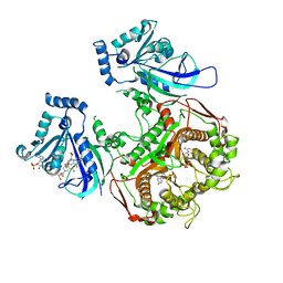 BU of 4dpd by Molmil