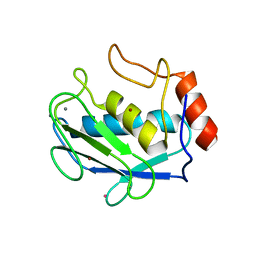 BU of 4dpe by Molmil