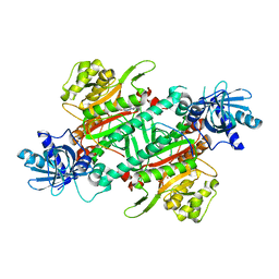 BU of 4dpg by Molmil